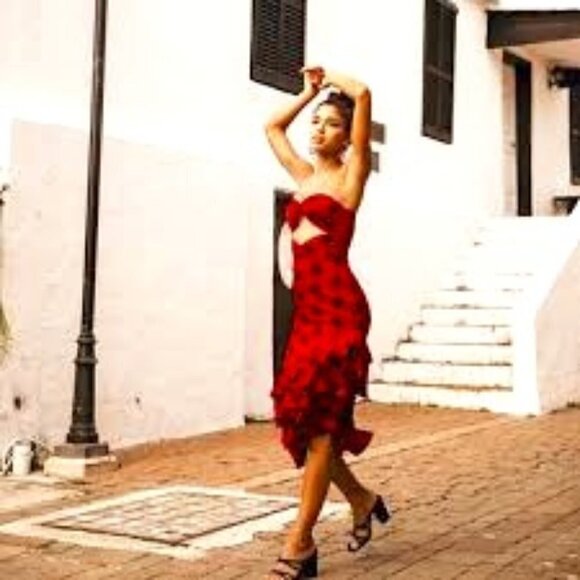 House of Harlow 1960 x REVOLVE Rio polka Dot Dress XXS - Picture 3 of 3